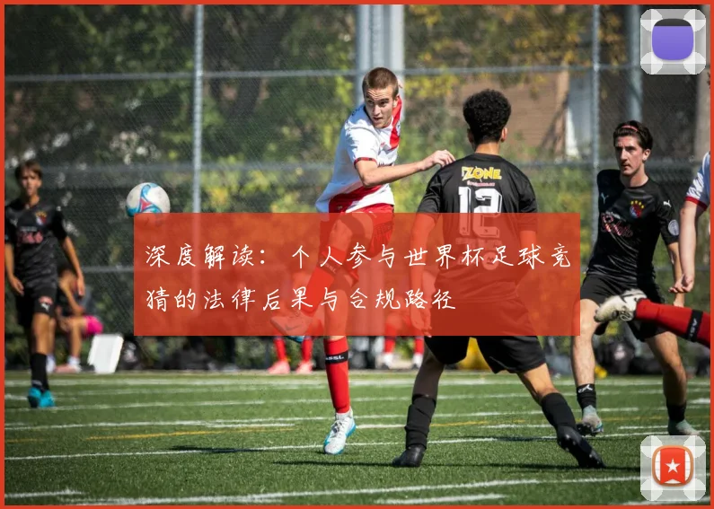 深度解读：个人参与世界杯足球竞猜的法律后果与合规路径