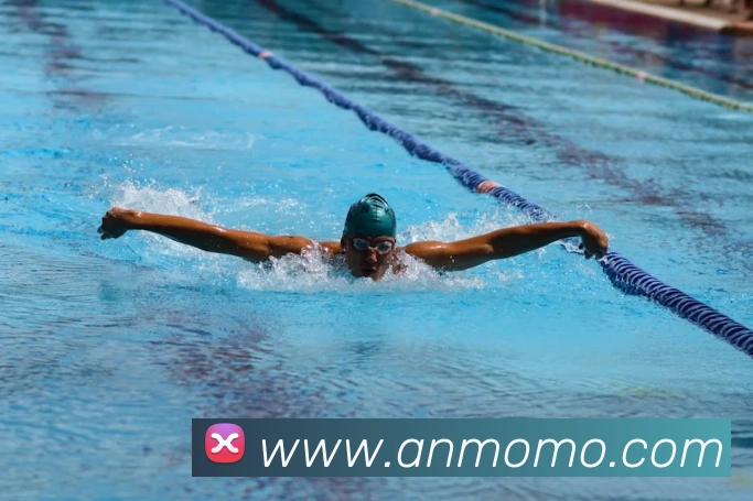 开云手机入口官方网站全站App